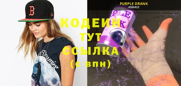 гашик Белокуриха