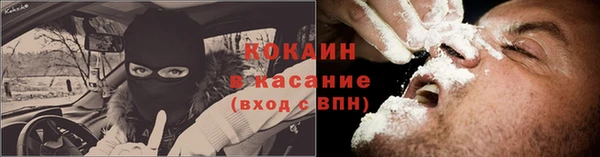 гашик Белокуриха