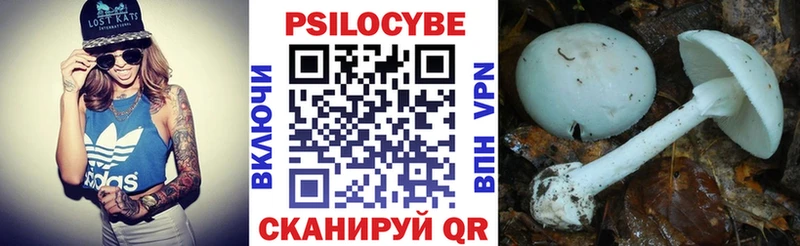 Галлюциногенные грибы Magic Shrooms  даркнет сайт  Тихвин 
