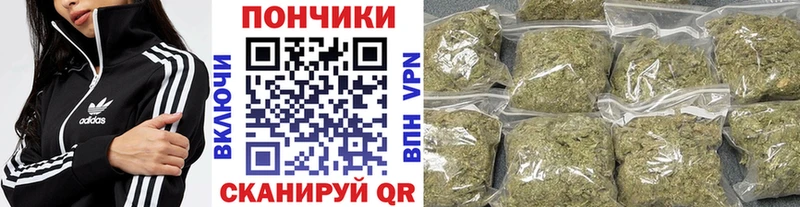 Бошки Шишки сатива  Тихвин 